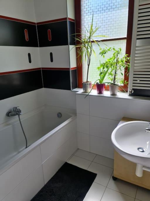 Comfortable Apartment! 프라하 외부 사진